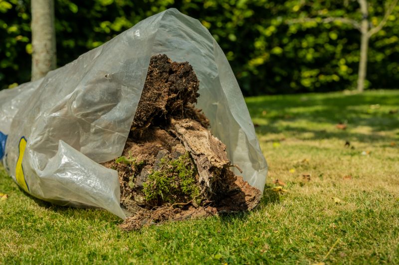 Cost of Tree Transplanting — Cost of Tree Transplanting