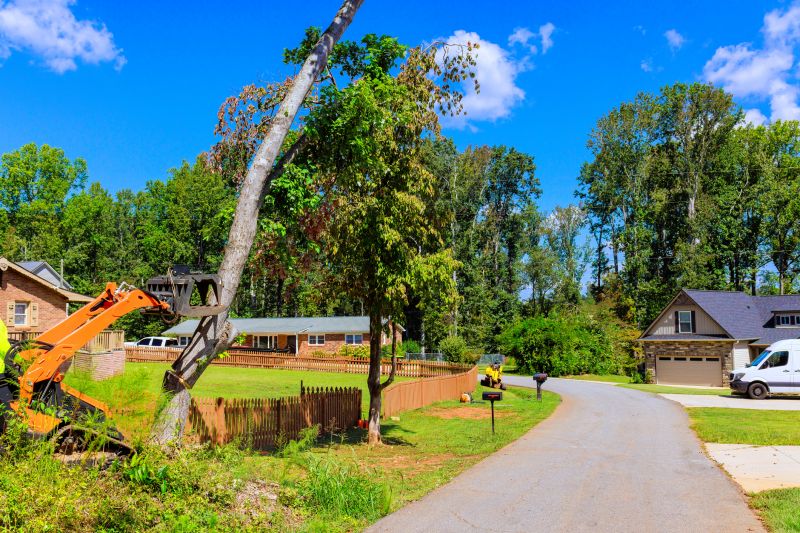 Excavation and Lifting